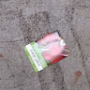 Meet your Posher, Nicholas